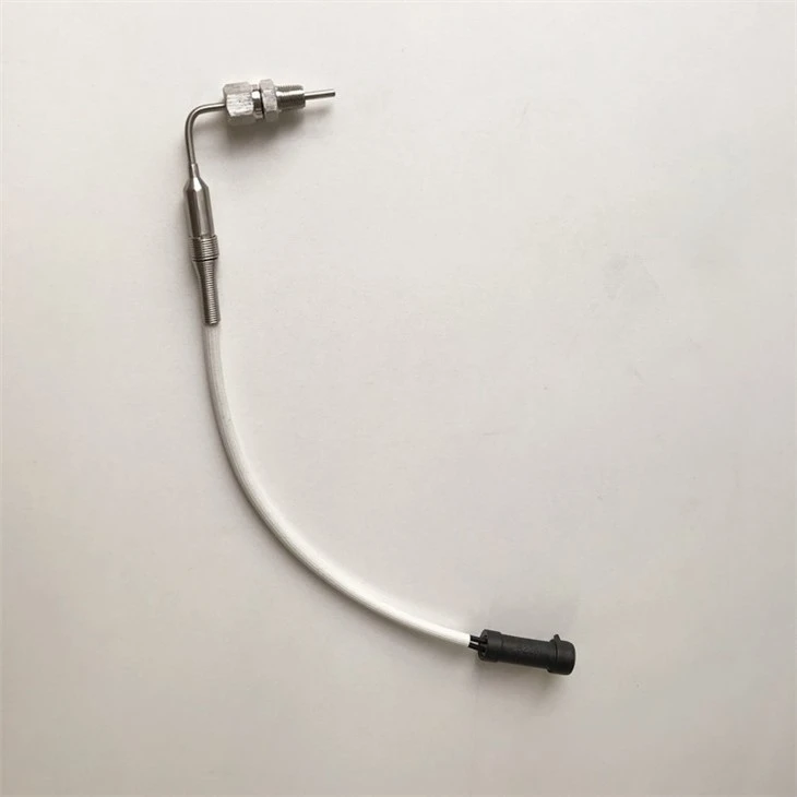 RTD PT200 Probe-1